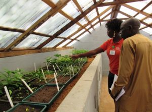 Picture of Botanical Nursery