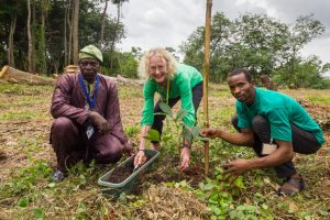 Picture of forest unit staff planting a mahogany seedling in the Tree Heritage Park