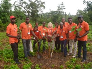 PIcture of Forest Unit plants Golden Jubilee Grove