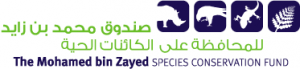 Mohammed bin Zayed Species Conservation Fund logo