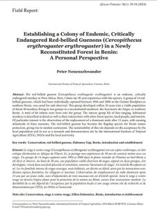 Establishing a Colony of Endemic, Critically Endangered Red-bellied Guenons (Cercopithecus erythrogaster erythrogaster) in a Newly Reconstituted Forest in Benin: A Personal Perspective