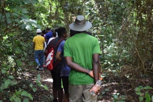 Walking on the IITA forest trail